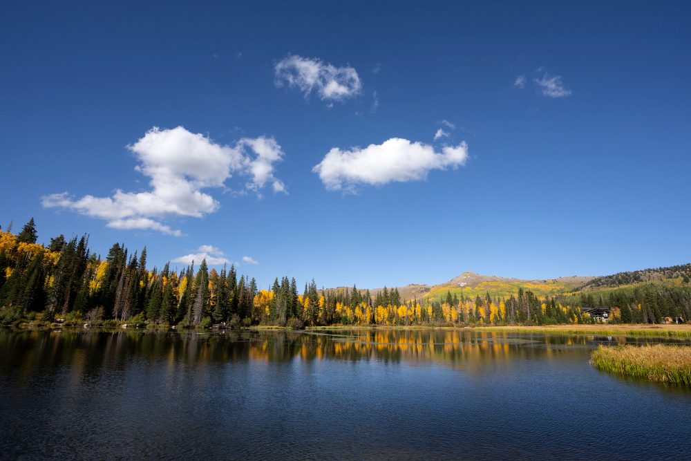 Canadian Landscape