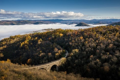 Fall Foliage